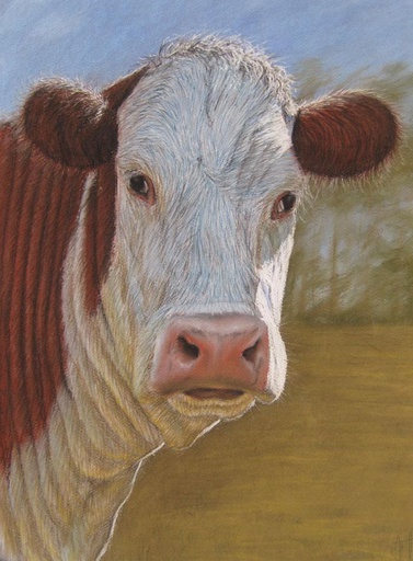 La vaca
