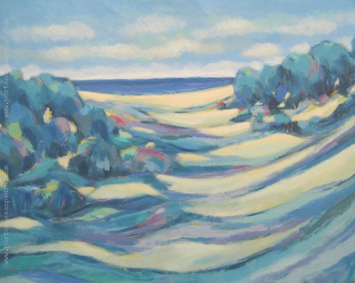 Paisaje del Sur