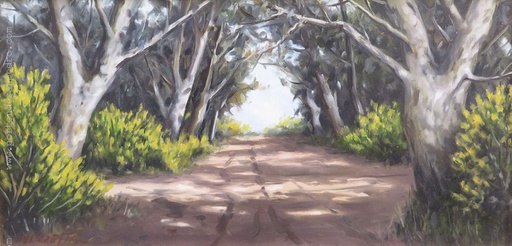 Camino