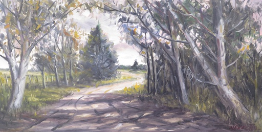 Camino II