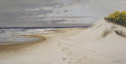 Dunas III