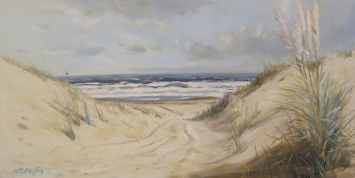 Dunas