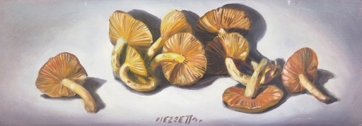 Hongos II