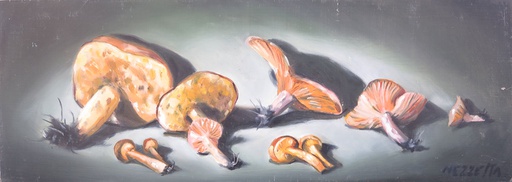 Hongos III