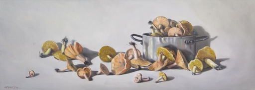 Hongos IV
