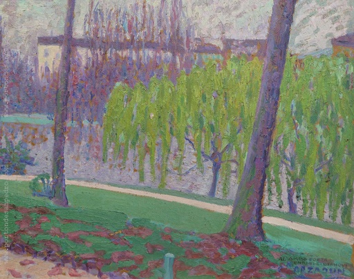 Sauces sobre el lago