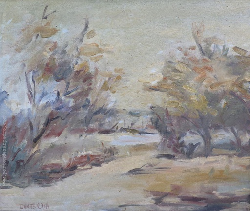 Camino