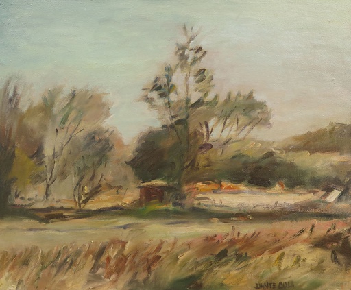 Campo