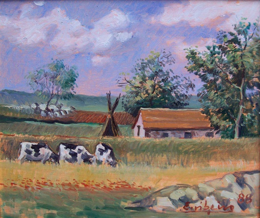 Campo
