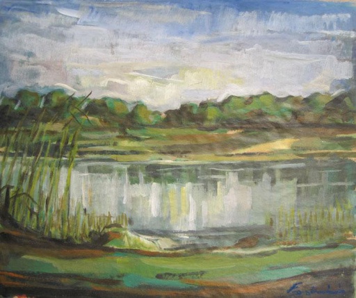 Arroyo
