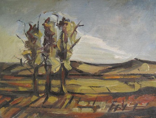 Campo