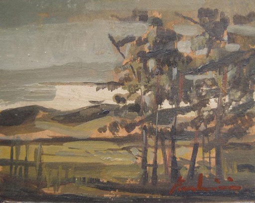 Campo II