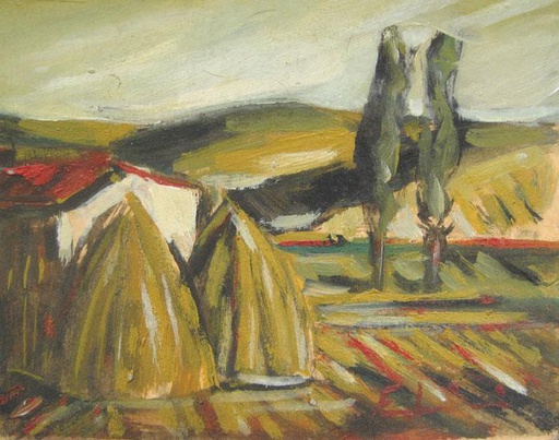 Campo III