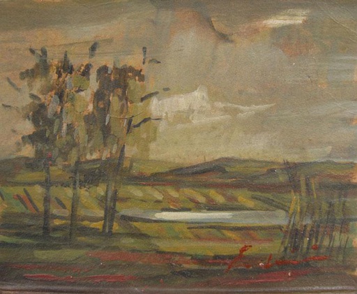 Campo IV