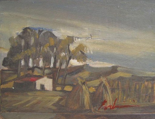 Campo V