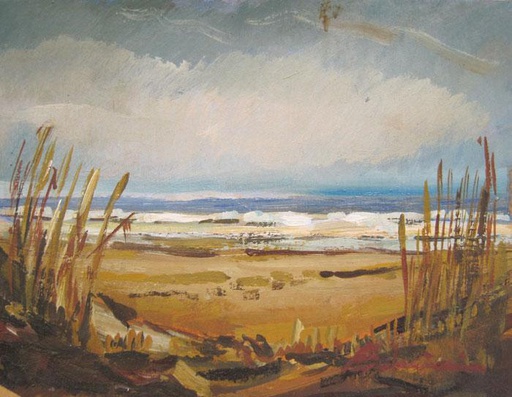 Playa III