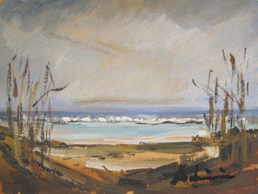 Playa IV