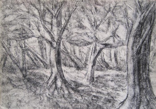 Bosque
