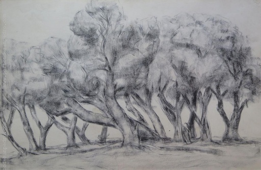 Bosque II