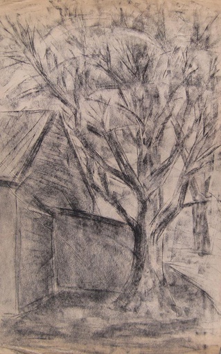 Árbol