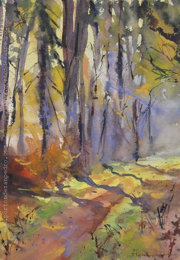 Bosque II