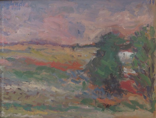 Paisaje de San Jacinto