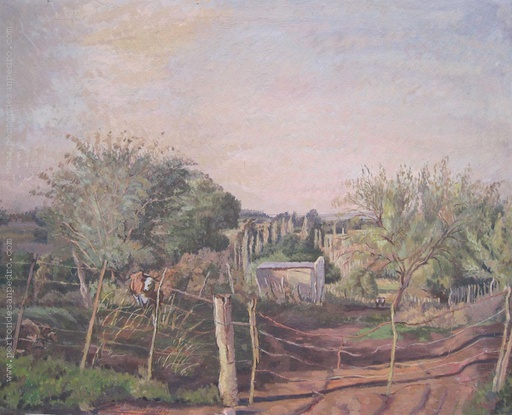 Campo