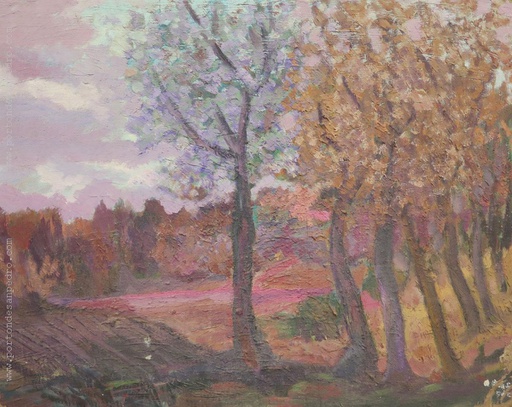 Paisaje de Las Flores