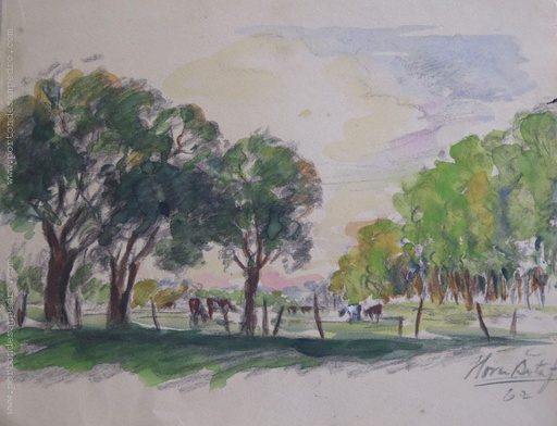 Campo