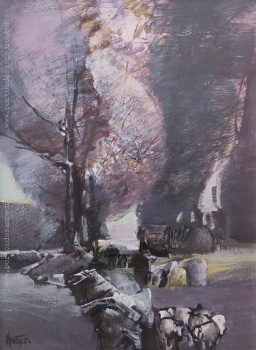 Campo II