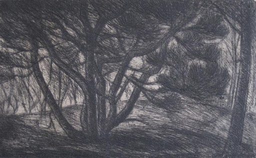 Pinos