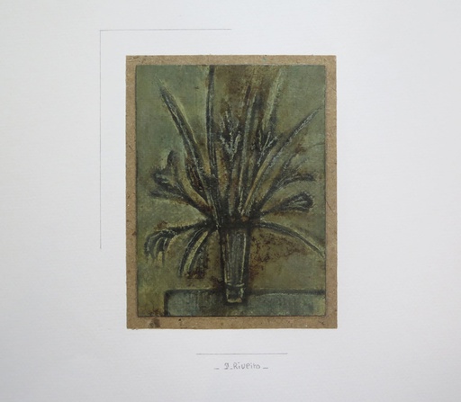 Flores II