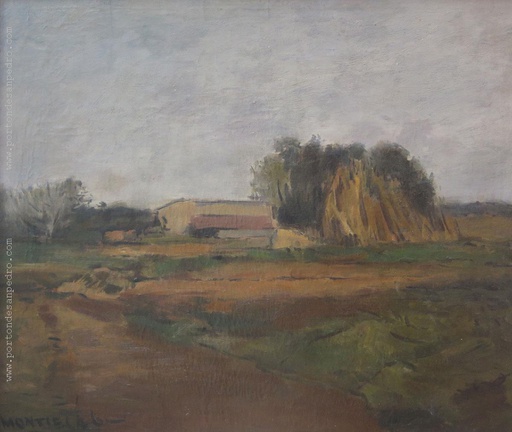 Paisaje de campo