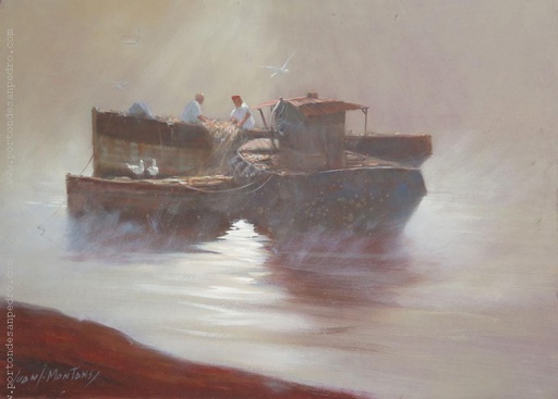 Barcas