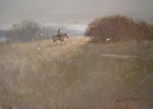 Campo