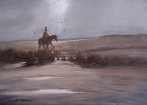 Campo II