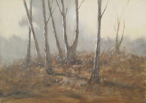 El bosque