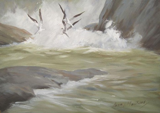 Gaviotas II