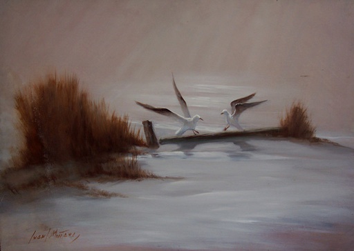 Gaviotas III