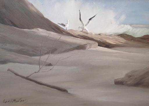Gaviotas IV