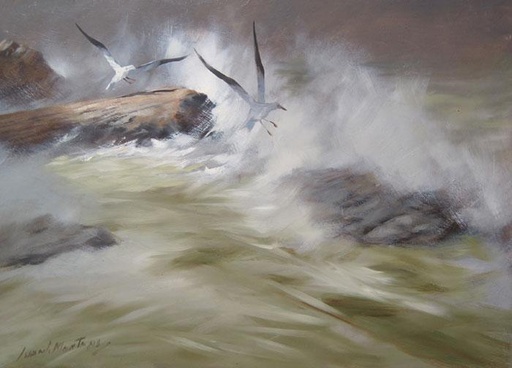 Gaviotas VI