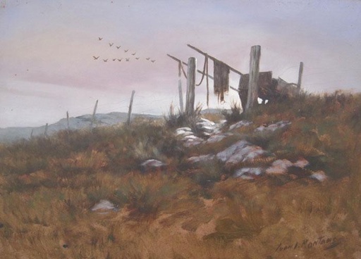 Migración