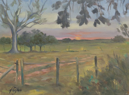 Atardecer en el campo