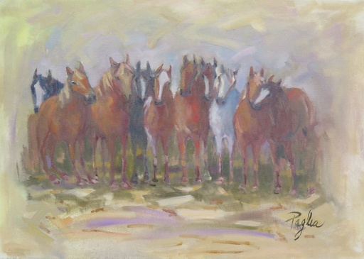 Caballos