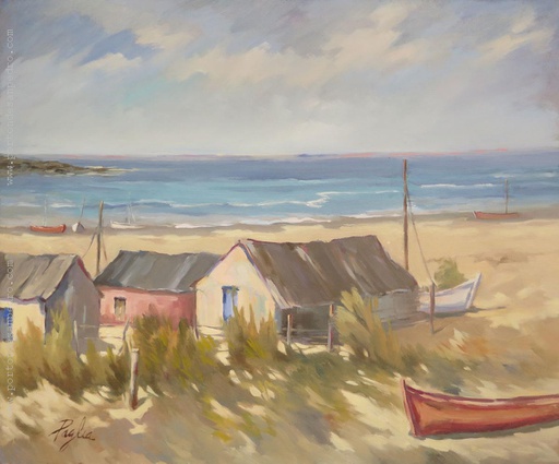 Cabo Polonio II