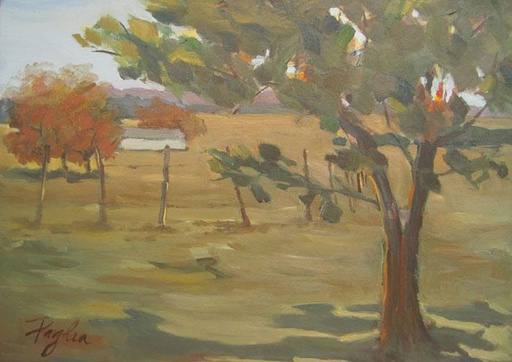 Campo II