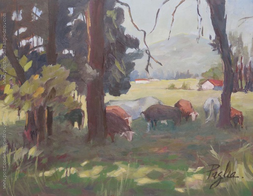 Campo III