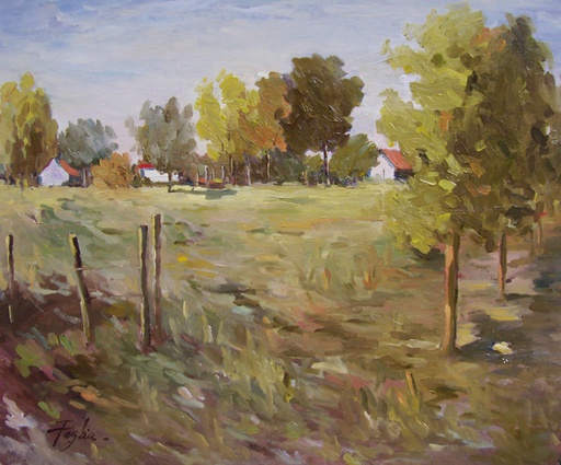 Campo V