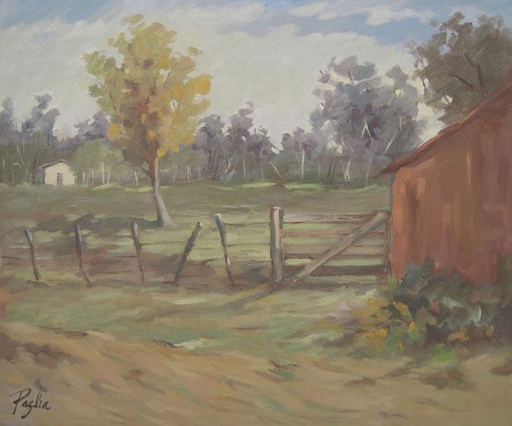 Campo VI