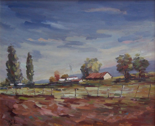 Campo VII
